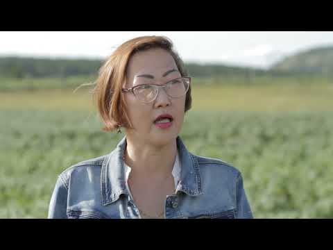 Видео: "Октемцы. Проект "Новый облик села"