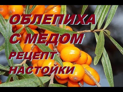 Видео: Рецепт настойки на самогоне  Облепиха с медом