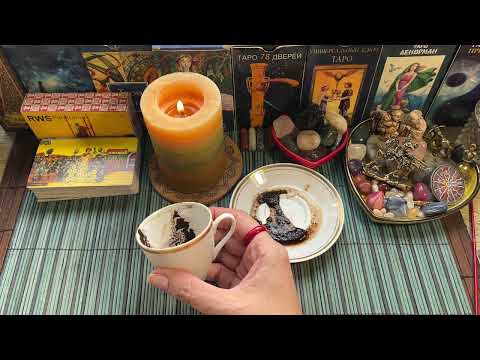 Видео: Чашка дня‼️