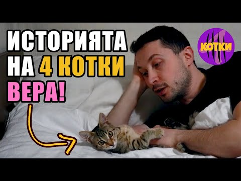 Видео: Историята на 4КОТКИ - Вера!