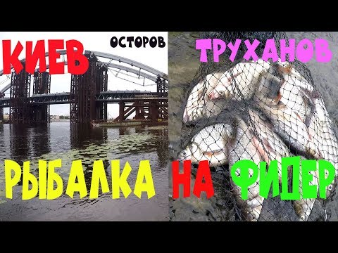 Видео: Рыбалка на фидер. Киев (остров Труханов)