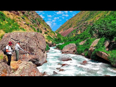 Видео: Рыбалка в горах на ДИКУЮ ФОРЕЛЬ, Такой рыбалки еще не было, июль 2025