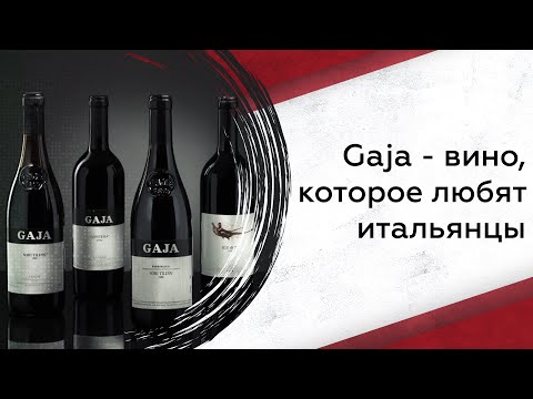 Видео: Gaja - вино, которое любят итальянцы