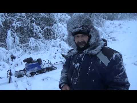 Видео: Обыкновенный день отдыха пенсионеров в декабре #1