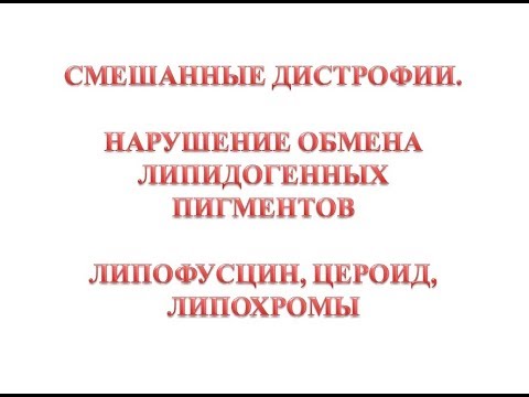Видео: Липидогенные пигменты