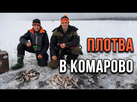 Видео: Плотва в Комарово.