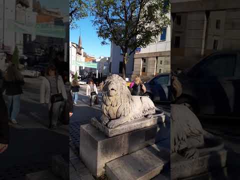 Видео: Ну что  Пассау ? ! 😉😁