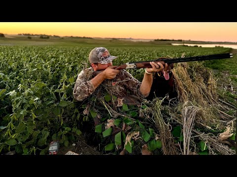 Видео: Охота на уток с моим новым .410! (Ограничение для соло)