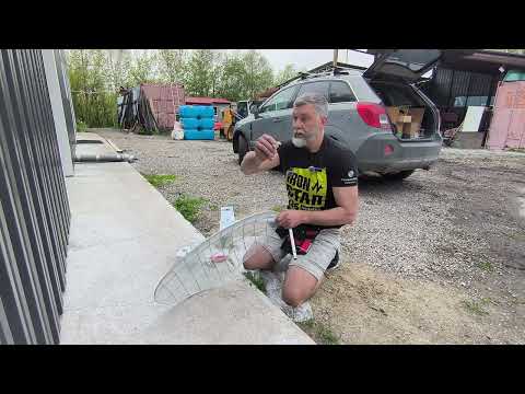 Видео: Роутер гигабитный, 256QAM, RSRP и SINR "ярко-зелёные", b3+b1, монтаж SUPER, ну и где скорость?