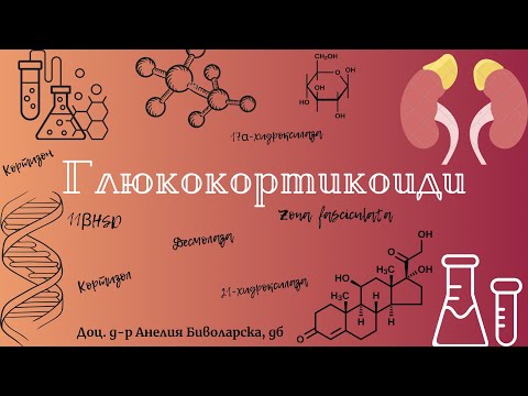 Видео: Глюкокортикоиди/Glucocorticoids