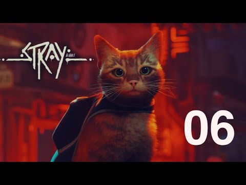 Видео: Проходження Stray, ч.6 - фінал