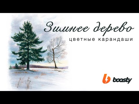 Видео: Зимнее дерево цветными карандашами / Урок Boosty