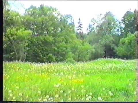 Видео: Мосальск 1997 год. Зарисовки на тему.