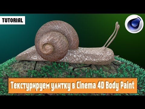 Видео: Текстурируем улитку в Cinema 4D Body Paint /tutorial/