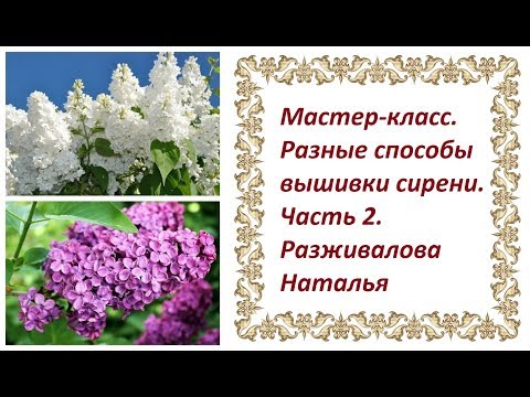 Видео: МК. Разные способы вышивки сирени. Часть 2. Способы 2 и 3. Французские узелки и бантики.