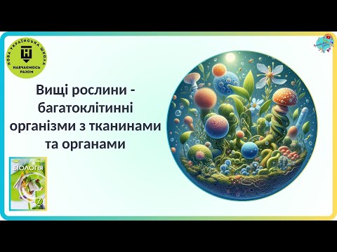Видео: Вищі рослини - багатоклітинні організми з тканинами та органами