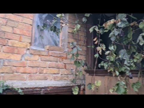 Видео: Ейск🌹Купили дом у моря, за 2 млн. рублей. До пляжа рукой подать.  Полный обзор дома и участка.