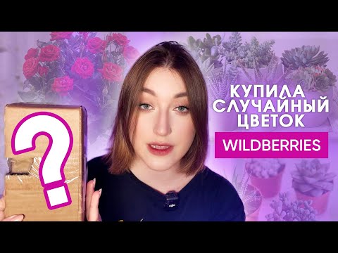 Видео: купила СЛУЧАЙНЫЙ ЦВЕТОК на Wildberries