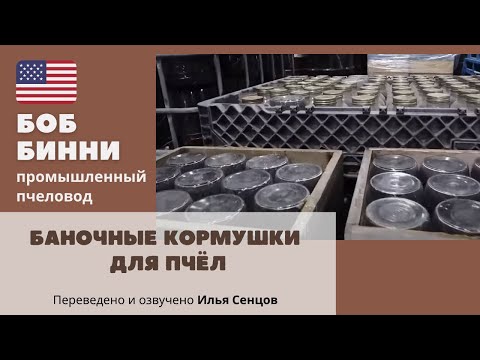 Видео: Фруктозный и сахарный сироп для пчел. Ведерные и баночные кормушки для пчел (Боб Бинни, США)