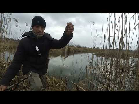 Видео: Рибалка на боковий кивок в сніг і вітер, но ОКУНЬ КЛЮЕ гарно, не зважаючи на погоду.