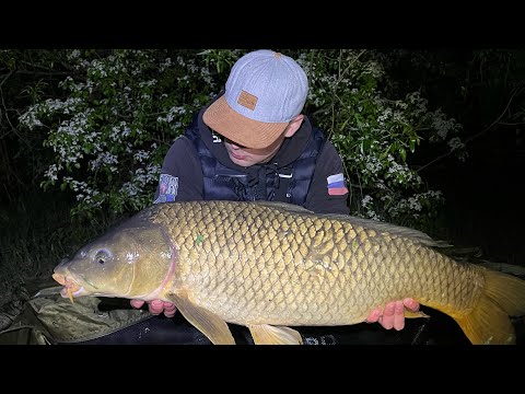 Видео: Рыбалка на водоеме РСК Водопадный