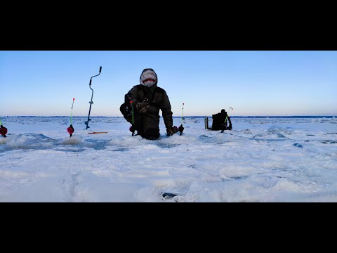 Видео: Рыбалка на КОРЮШКУ зимой , Финский залив 2024