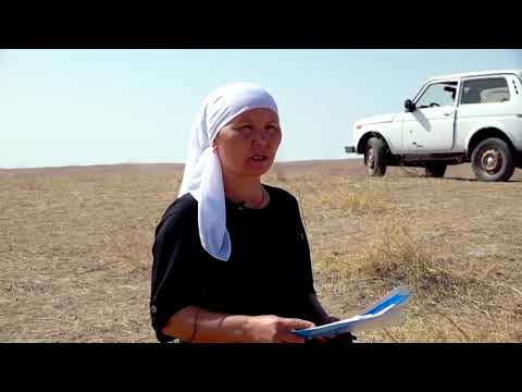 Видео: "АУЫЛ - ЕЛ БЕСІГІ" Жылға а/о Сары ағаш тарихы. 24 09 2020 Ауыл