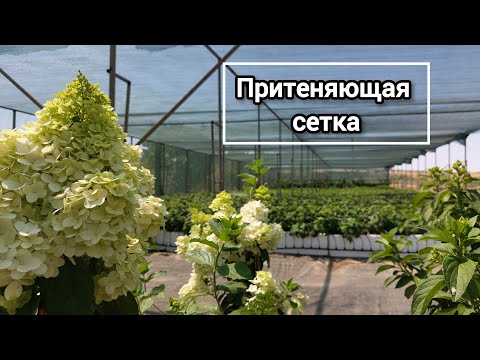 Видео: Притеняющая сетка. Как выбрать. Нюансы в использовании