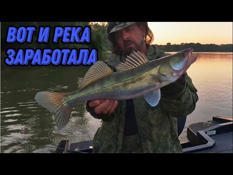 Видео: ВОТ И РЕКА ЗАРАБОТАЛА !!! Рыбалка на Оби 12 июля 2024г. Щука, Судак, Окунь. Клюет все !!!
