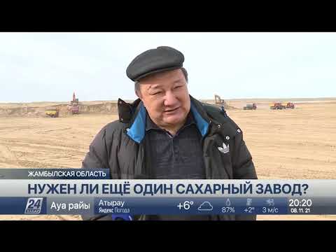 Видео: К строительству сахарного завода приступили в Жамбылской области