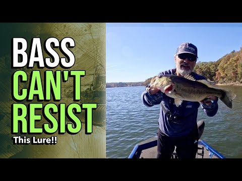 Видео: Стратегия ловли окуня в ноябре на озере Ланье