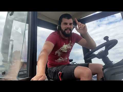 Видео: 🚜 Жнива 2025 | Трактори Скаут 404 і Зубр 240 в полі, друзі допомагають 🌾