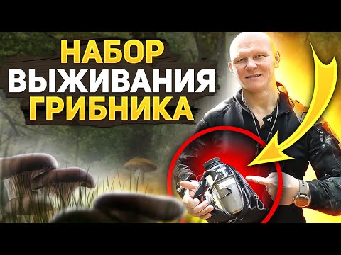 Видео: Набор выживания грибника. Обязательные вещи для похода в лес за грибами!