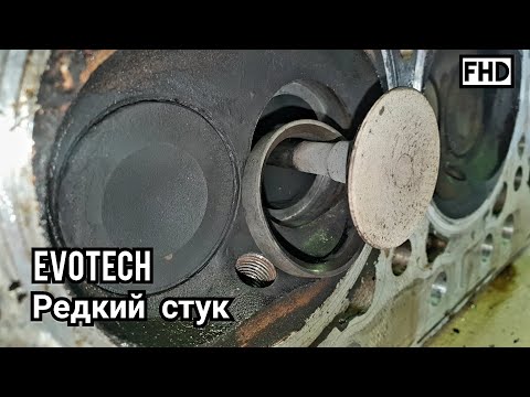 Видео: Редкий стук EVOTECH. 30 000 км. (как стучит седло клапана УМЗ)