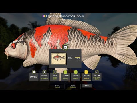 Видео: ЛЁГКИЙ ФАРМ СЕРЕБРА и КОИ с ЛУЧШИХ ТОЧЕК на МЕДНОМ ОЗЕРЕ РУССКАЯ РЫБАЛКА 4 РР4