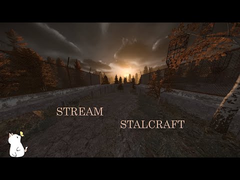 Видео: 🖤 Stream - STALCRAFT " Заданьки и ещё раз заданьки "