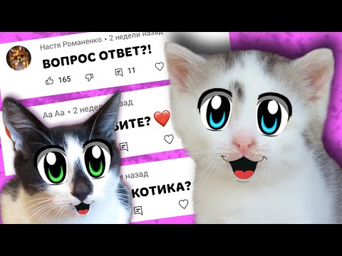 Видео: ВОПРОСЫ от ПОДПИСЧИКОВ ! КОГДА НОВЫЙ ПИТОМЕЦ? и КОТ которого ВЫ не ВИДЕЛИ
