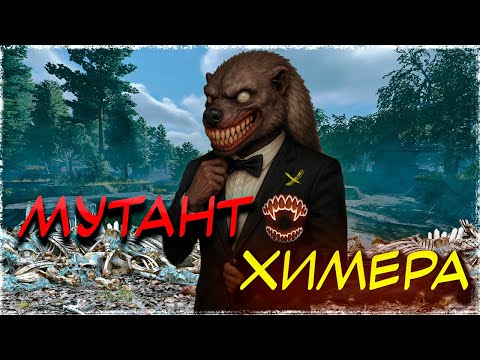Видео: ОСТОРОЖНО! В ЗОНЕ ПОЯВИЛСЯ НОВЫЙ МУТАНТ | STALCRAFT X