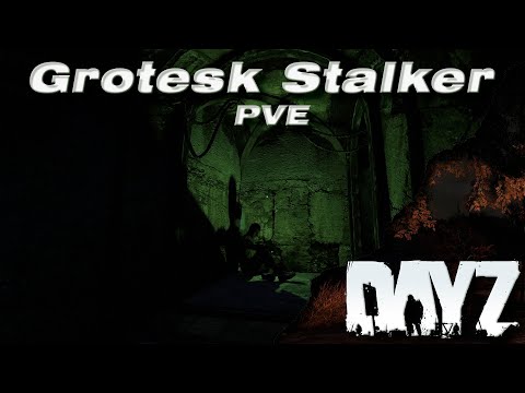 Видео: DAYZ PVE | ИСПЫТАНИЯ НА ПРОЕКТЕ GROTESK STALKER: ХВОСТЫ ДЛЯ ГЕОРГИЯ И РЫБАЛКА