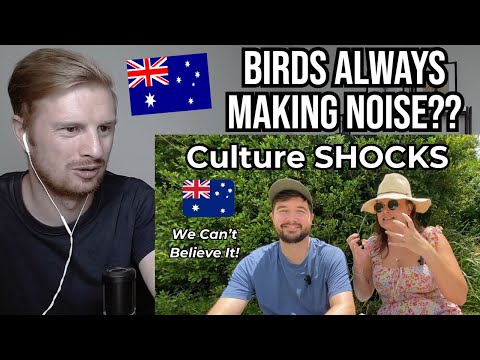 Видео: Реакция британской пары на австралийский культурный шок