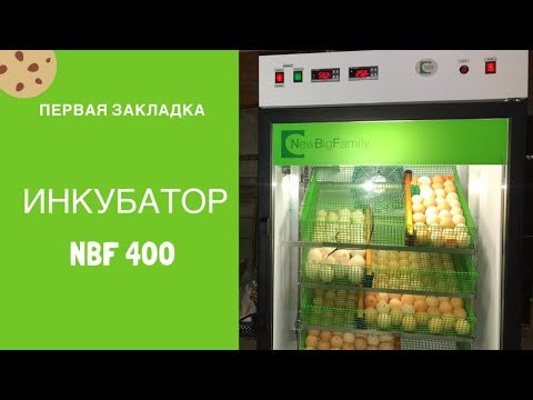 Видео: NBF 400 .Первая закладка.