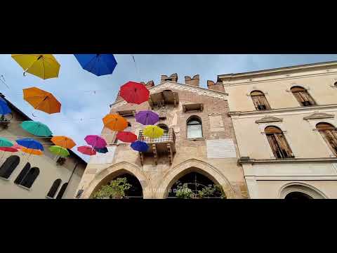 Видео: 20 октября 2025 г.