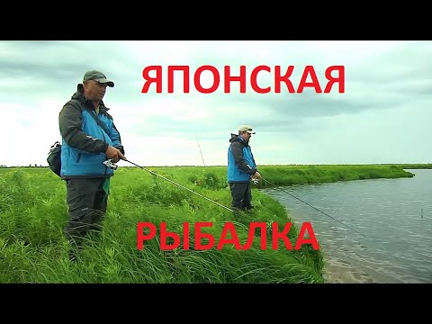 Видео: ЯПОНСКАЯ РЫБАЛКА