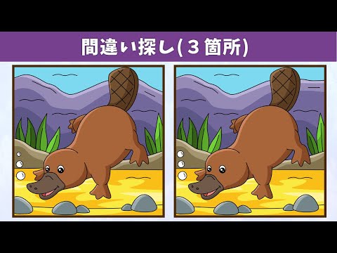 Видео: Найдите 3 отличия | Иллюстрация Версия #866