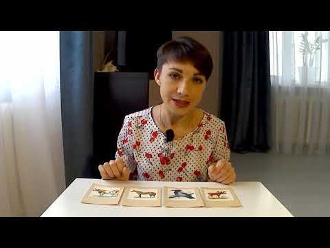 Видео: Развитие мышления у детей