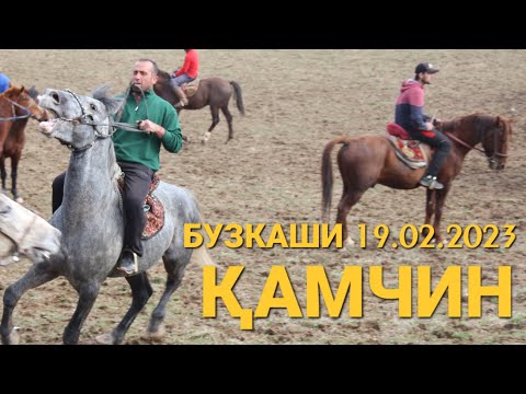 Видео: Бузкаши 19.02.2023 д.Қамчин
