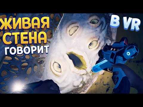 Видео: ЖИВАЯ СТЕНА В ВР ( Vertigo 2 )