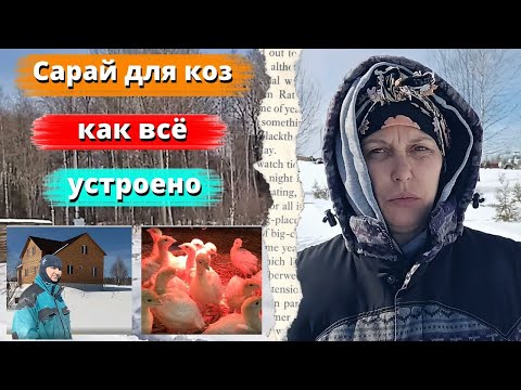 Видео: САРАЙ ДЛЯ КОЗ / КАК ВСЕ УСТРОЕНО