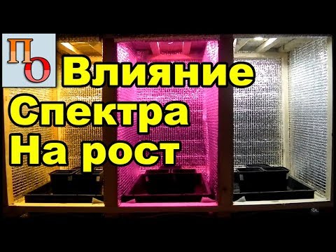 Видео: Фитосвет - обман века!