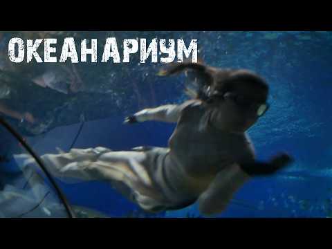 Видео: ОКЕАНАРИУМ В САНКТ-ПЕТЕРБУРГЕ / AQUARIUM / ТРЁХСОТОЕ ВИДЕО НА КАНАЛЕ